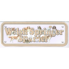 Welsh Springer Spaniel